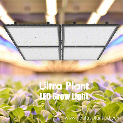 Indoor Full Spectrum Square Deep Red Grow Lights